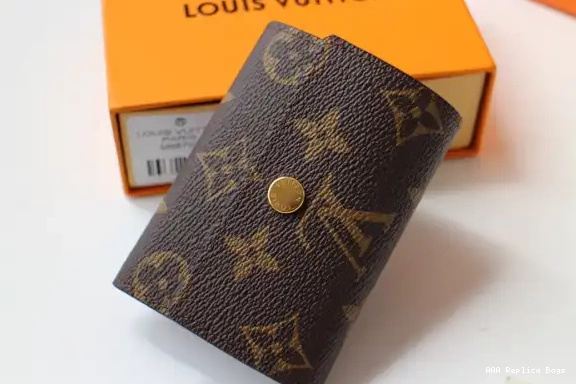 Aaa replica bags LOUIS VUITTON MICRO WALLET 0508